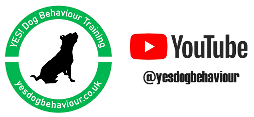 yt